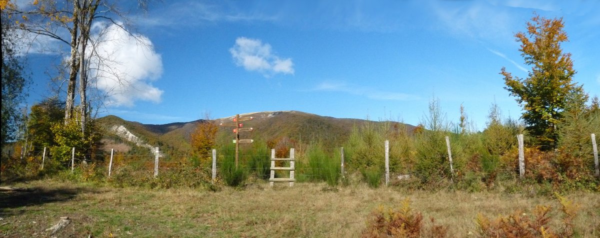 Ataka Arlagaingo lepoan