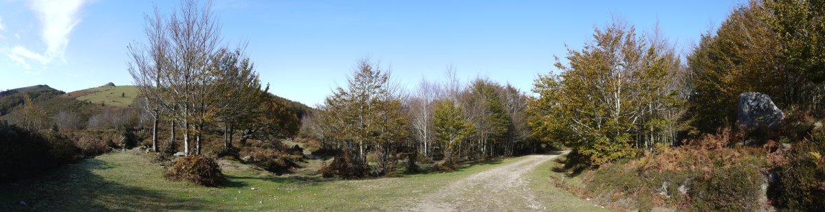 La Piedra trikuharria eta zutarria bidearen alde banatan