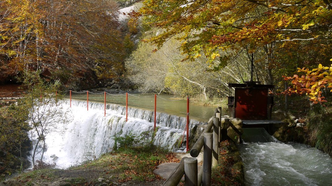 Zirauntzaren iturburua