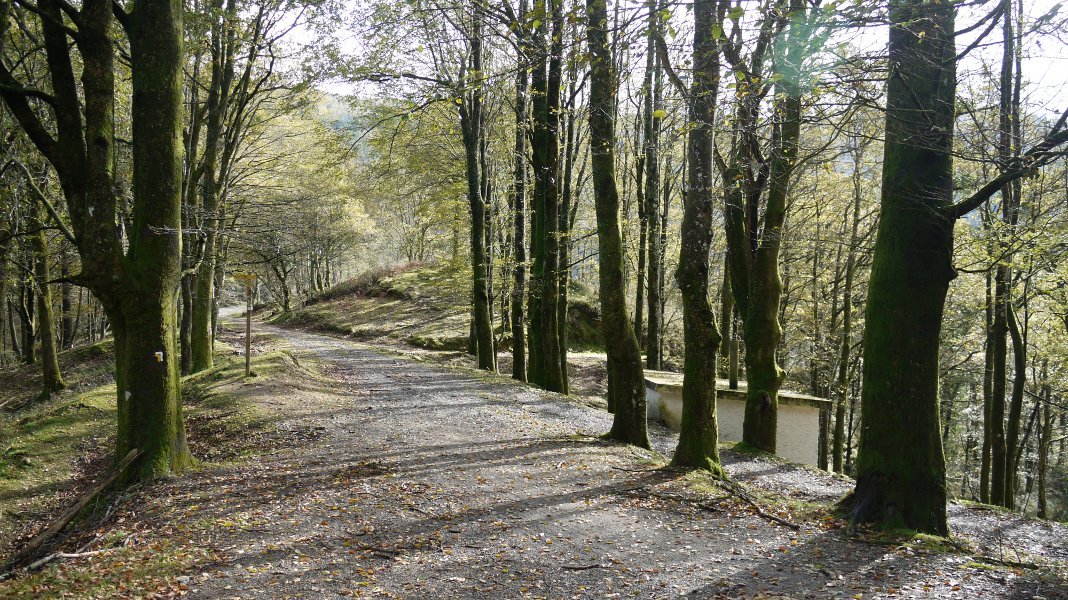 Irubidetako bidegurutzea