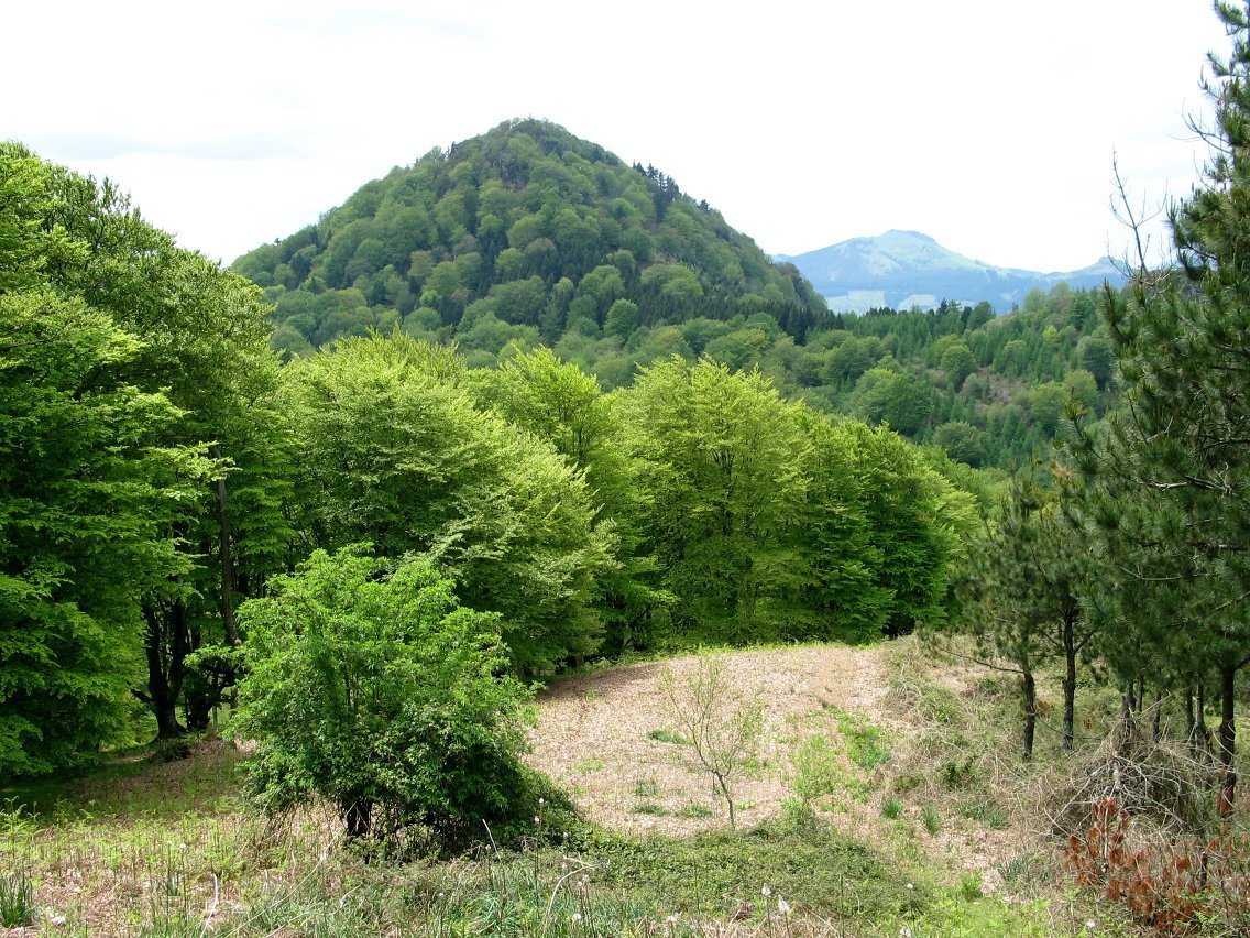 Zuarkazu aldetik ikusita