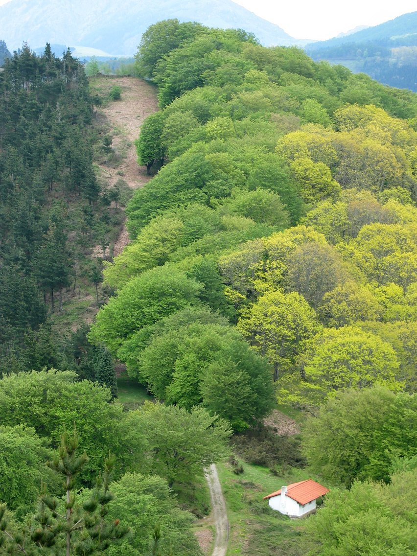 Zuarkazu Urdaburu Txikitik