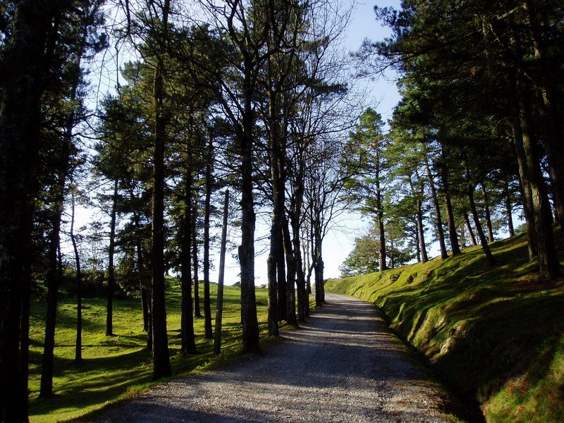 Iparraldetik igotzen den bidea