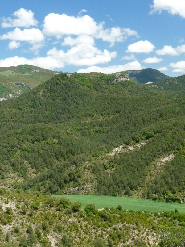 Irugain Mendigañatik