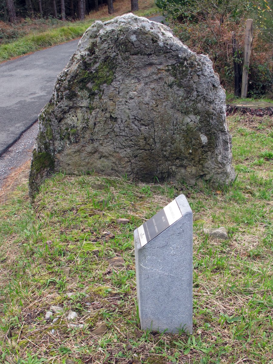 ARLUZE zutarria Zestoa-Endoia bide ertzean