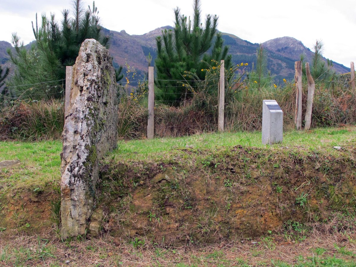 ARLUZE zutarria Zestoa-Endoia bide ertzean
