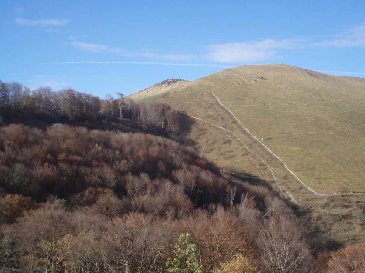 Mehalzu Oxkaxe mendatetik