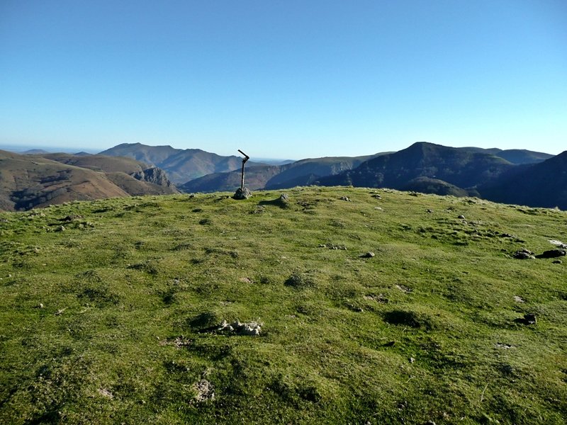 Antsestegiko Tontorra