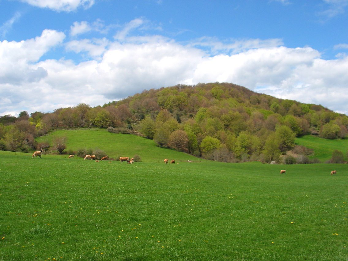 Uitzi aldeko larreak