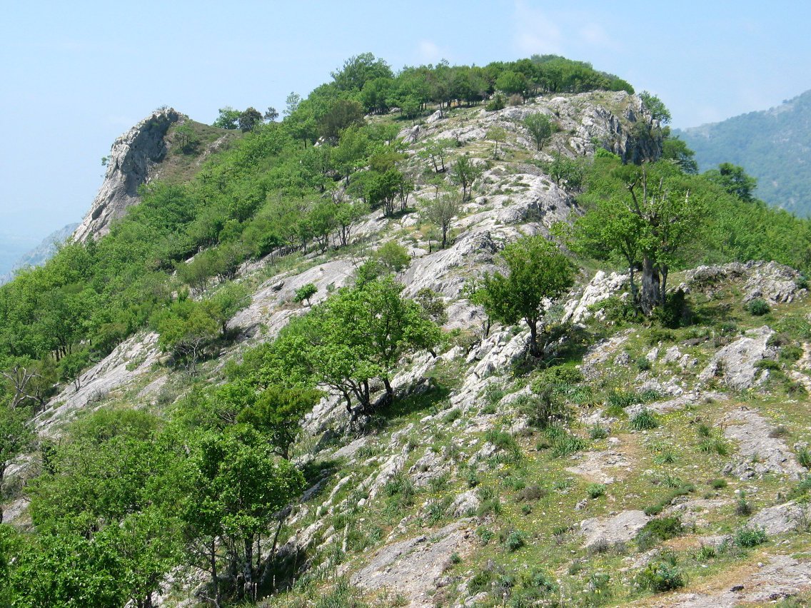 Gandorreko ikuspegia