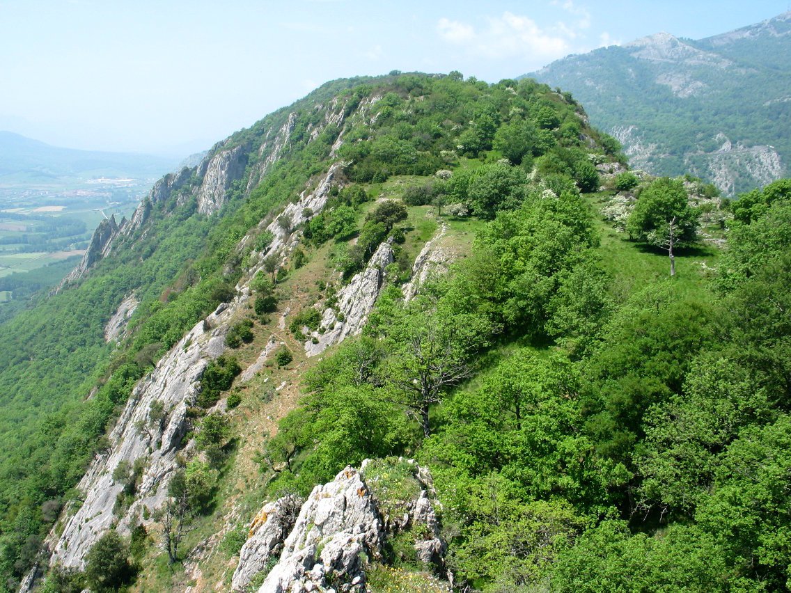 Gandorreko ikuspegia