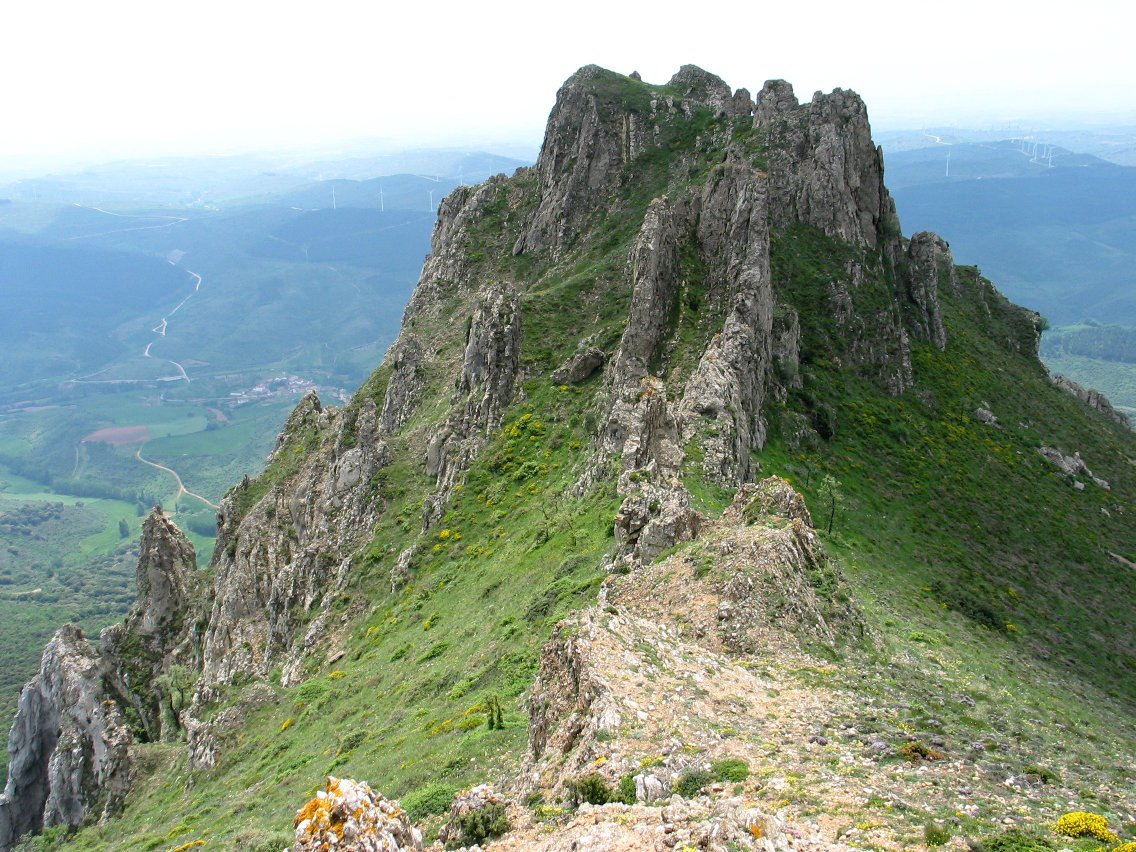 Hko gandorreko tontor nagusia