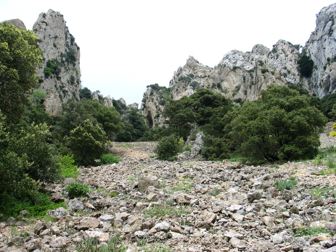 Haitzarteko harritza