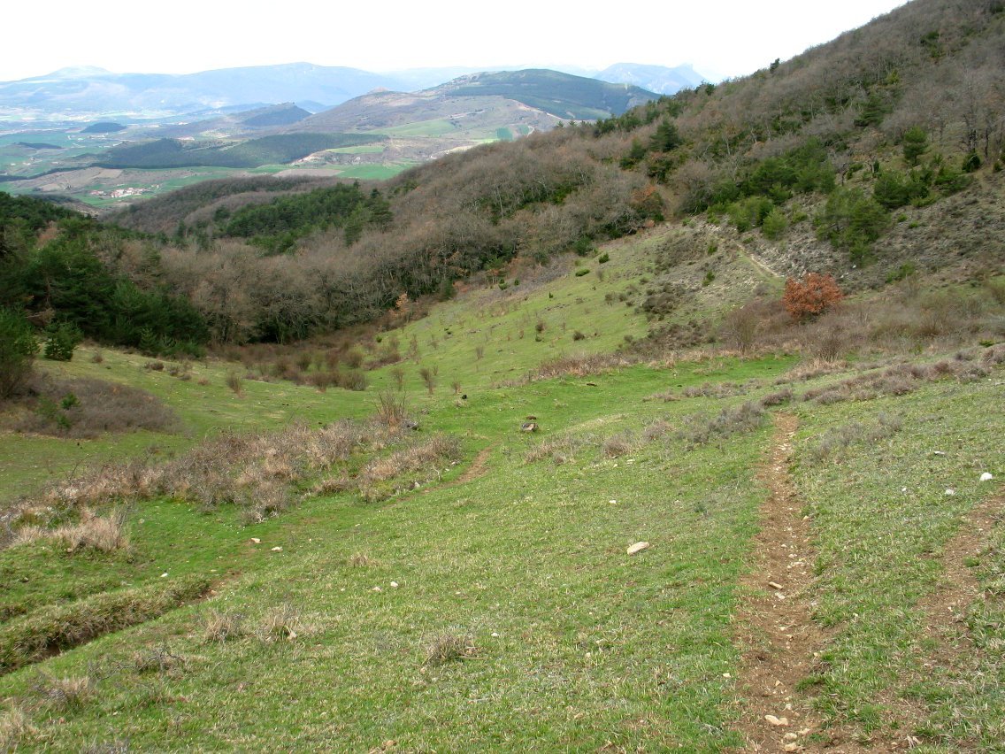 HEko lepoko ikuspegia