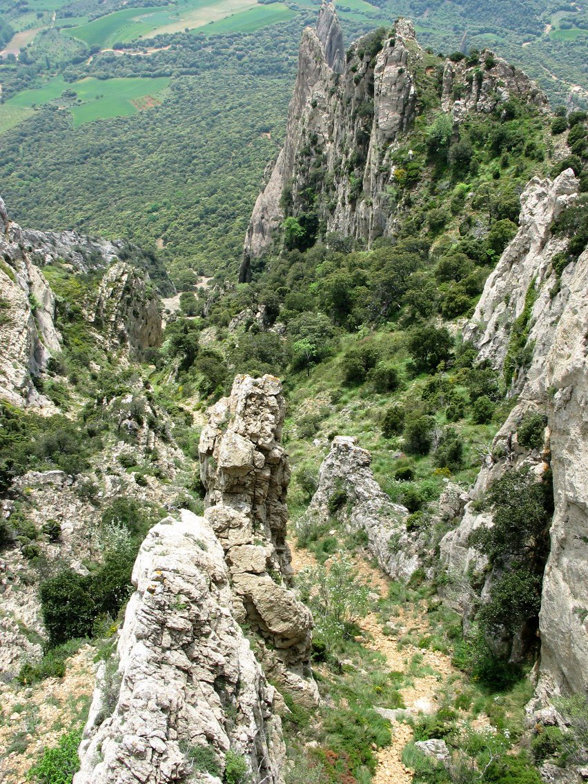 Deabruaren zubitik behera begira