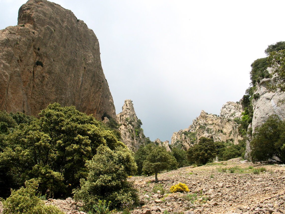 Deabruaren Zubirako igoera