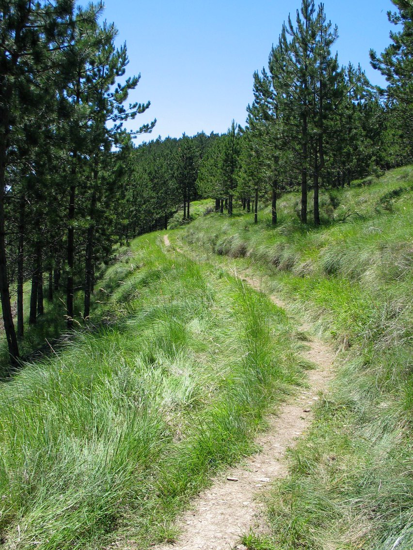 Tontorrerako bidea iparraldetik