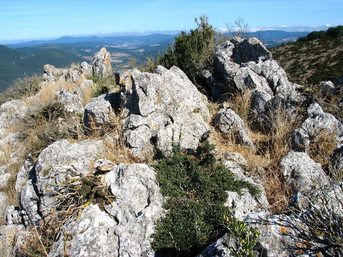 Berrondo haitzaren gaina