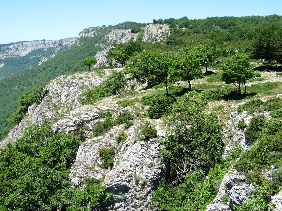 Ulibarri aldeko ertza