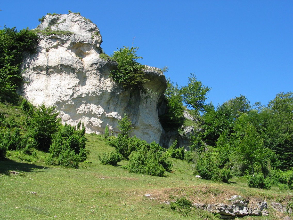 Haitza Karrantan aldeko paisaia apaintzen