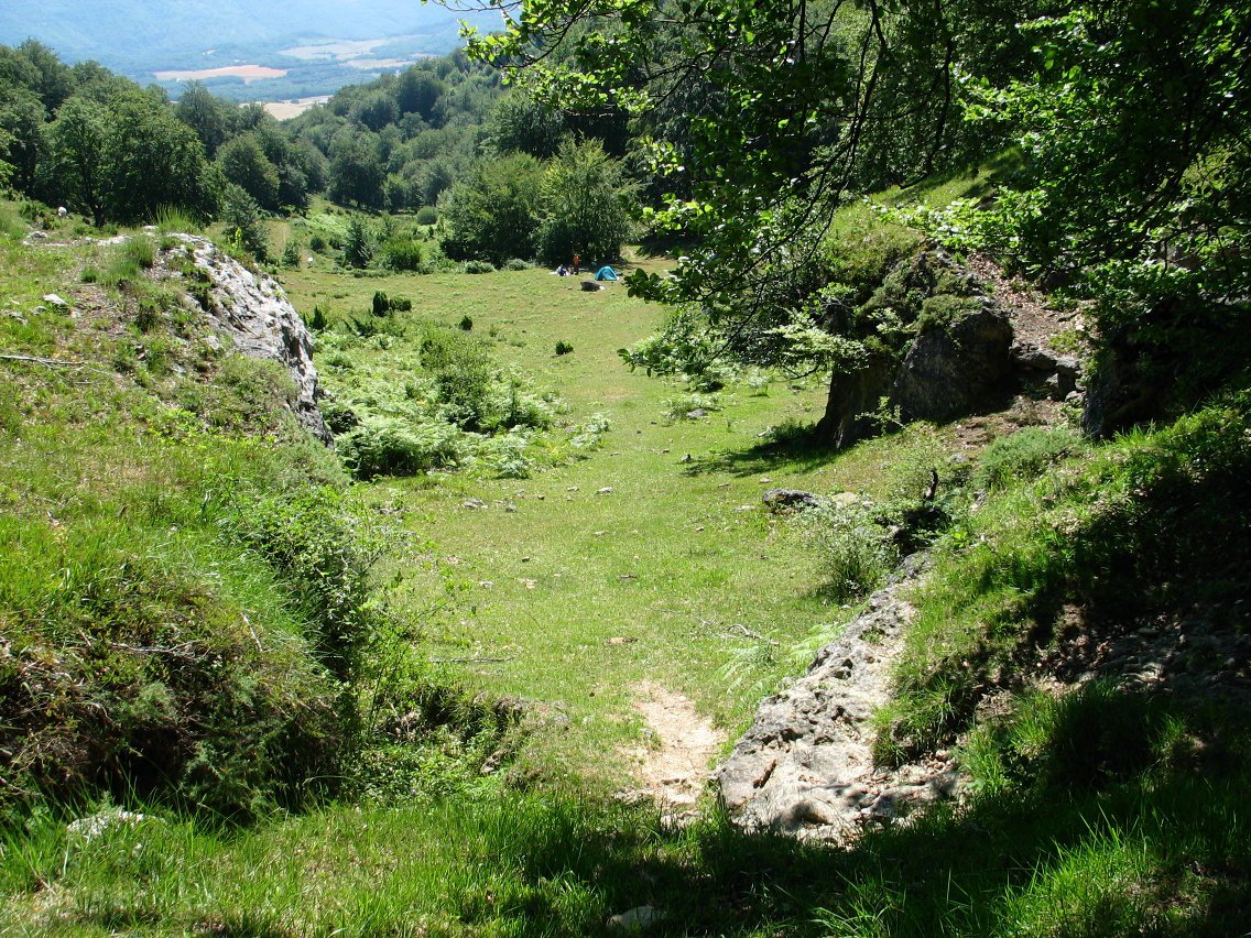 Karrantan bailarako larreak