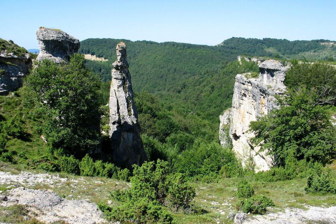 Ipurtika aldeko haitzak basoaren gainean