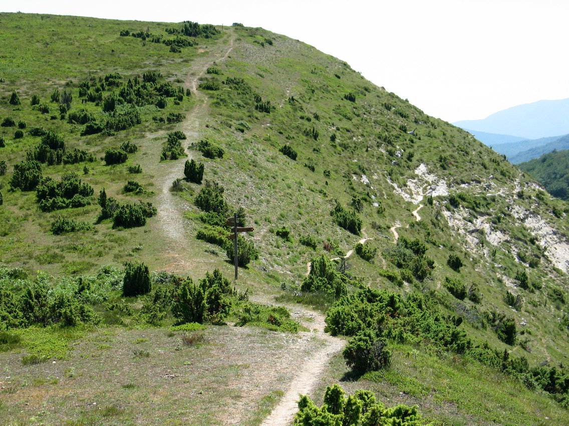 Ohiko igoerako bidea
