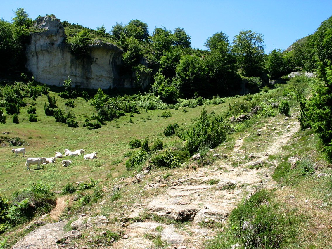 Karrantan aldeko igoera