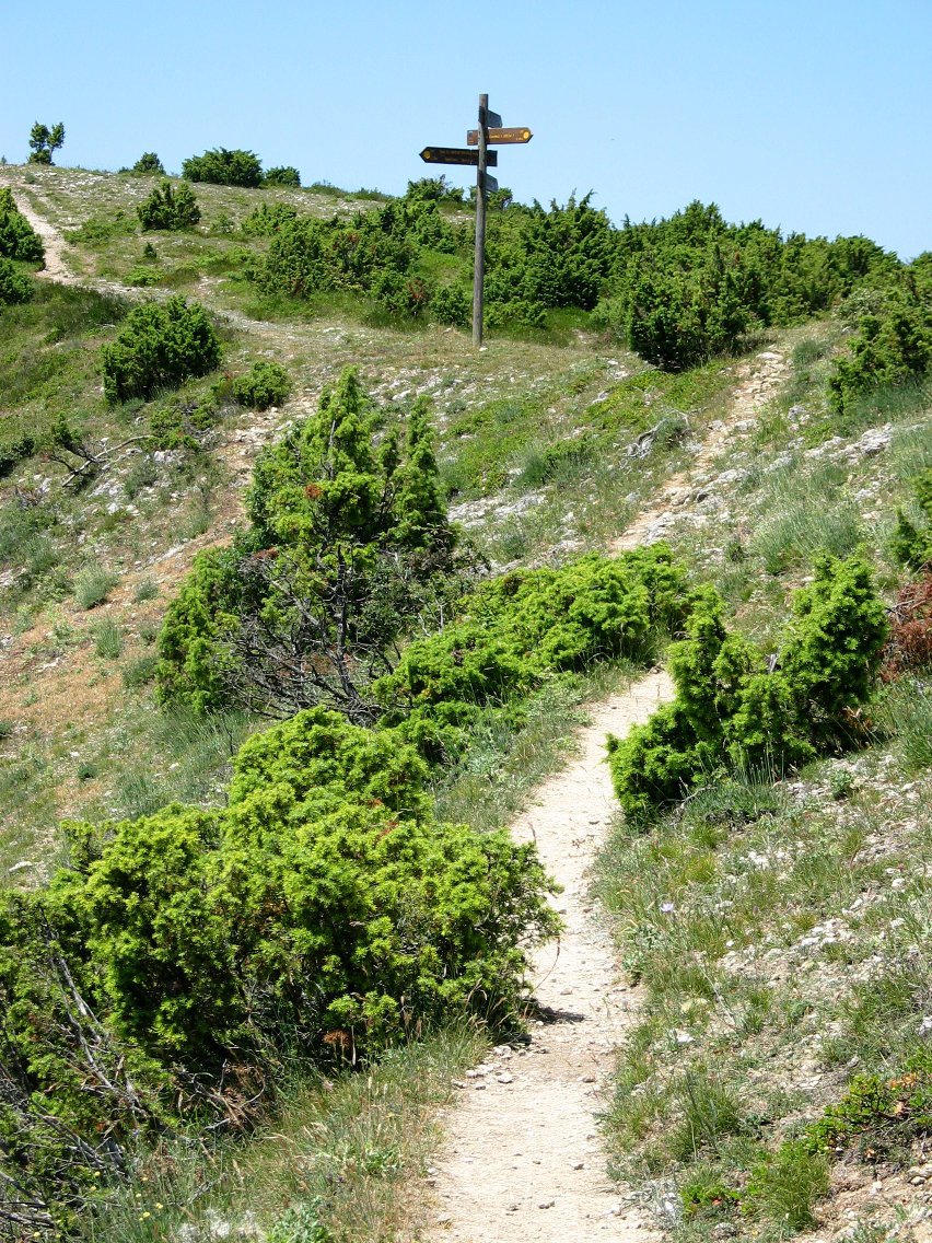 Apinaniz aldeko igoera San Cristobalgo bizkarrera