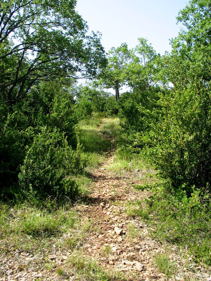 Pierola aldeko bidea ezpel artean