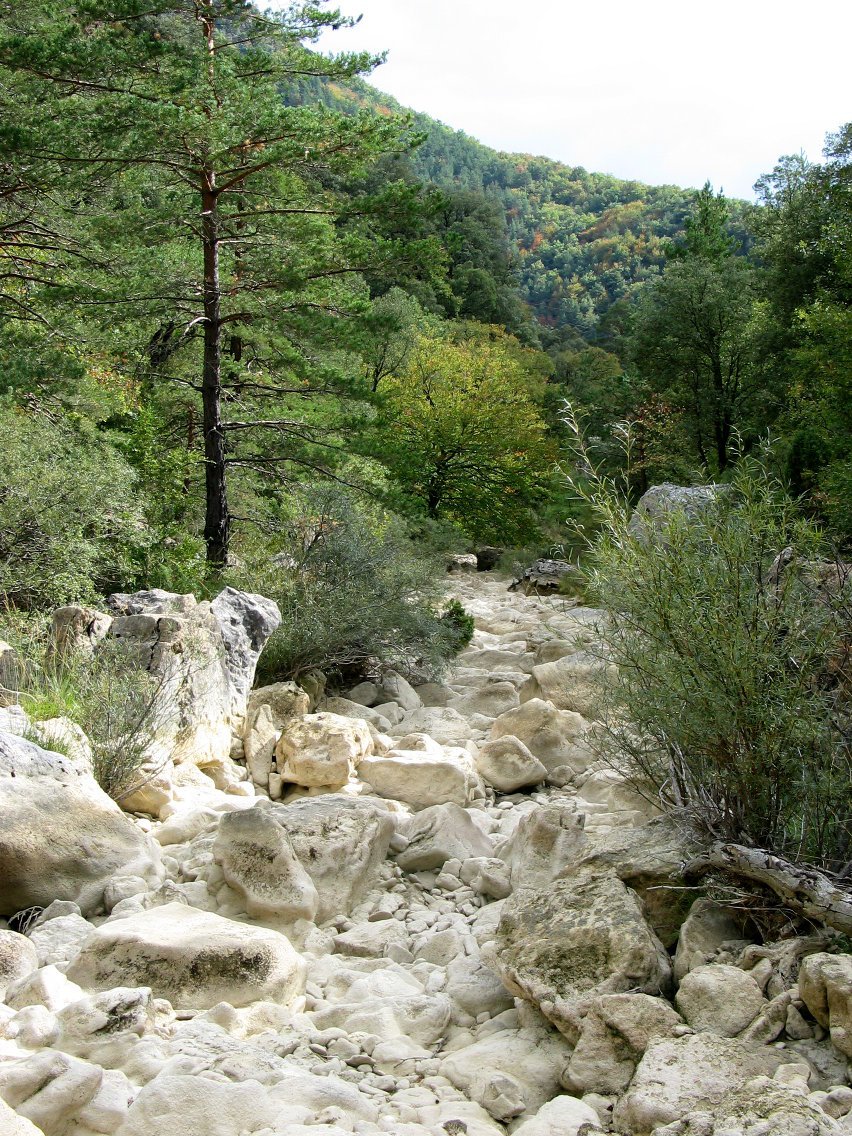 Egurzanos errekaren hondo lehorra