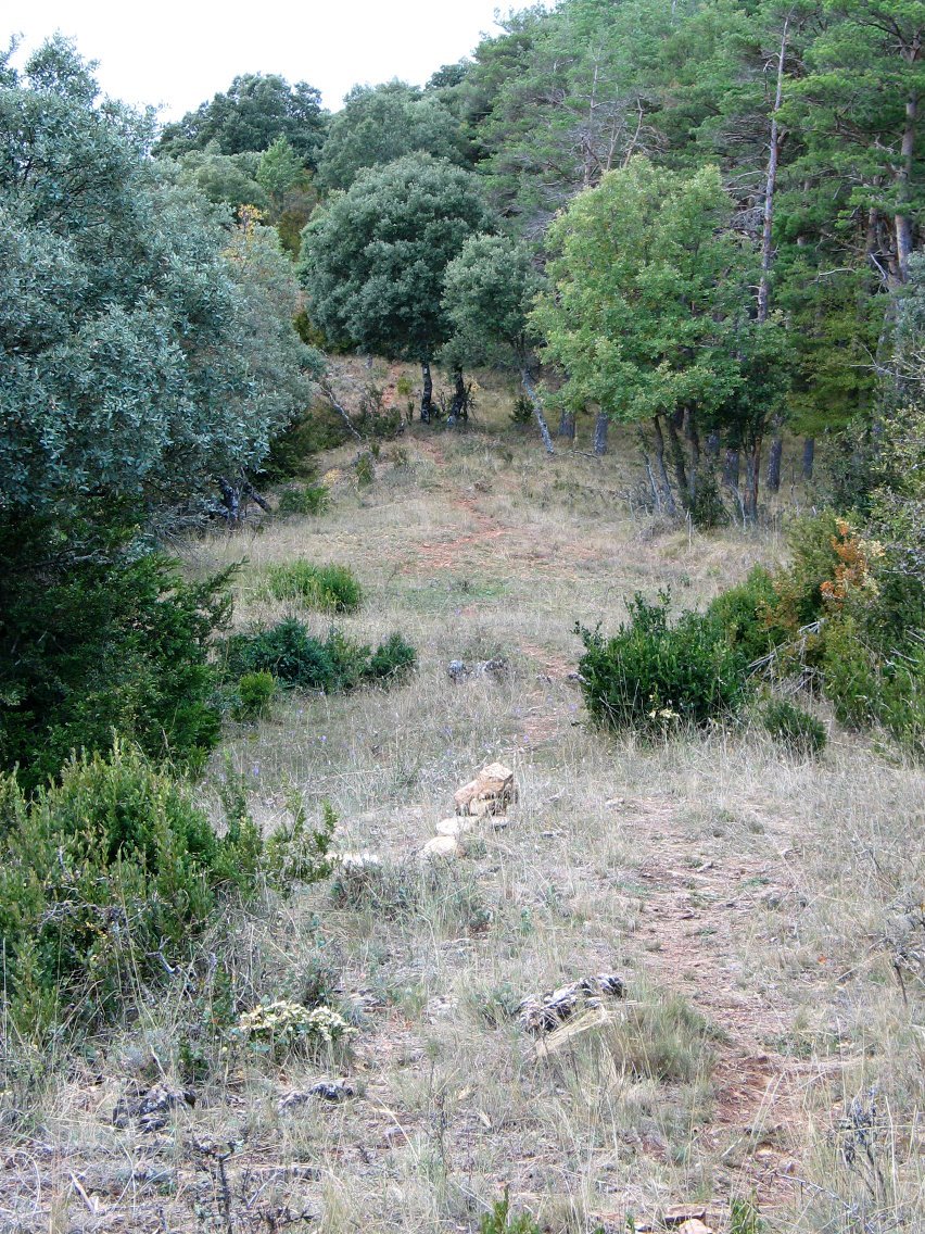 Ohiko igoeraren bidea