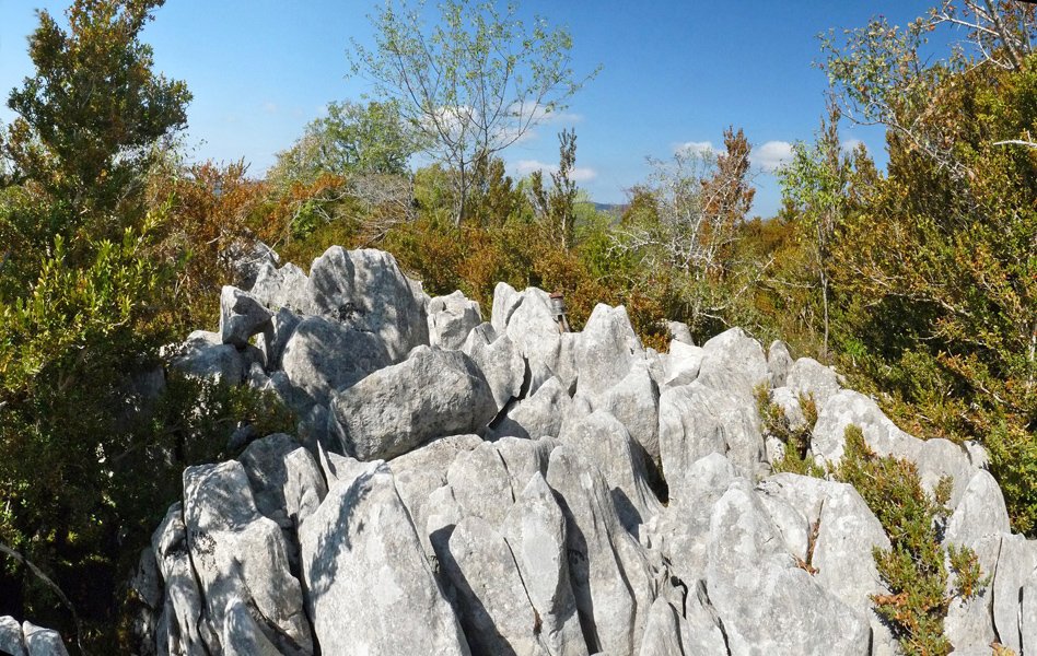 Bozporroko gailurreko karst eta txartelontzia