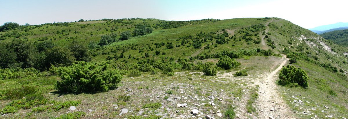 Mendebaldeko lepotik ikusita