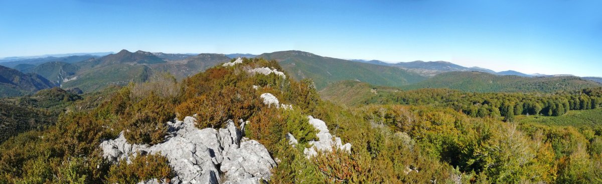 Urrizkaingo gandorrean gora