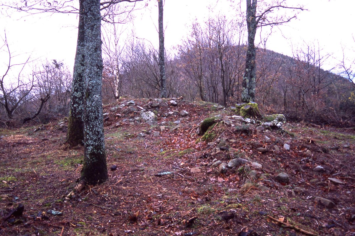 Arkutxa trikuharria 2004.-01-03-an