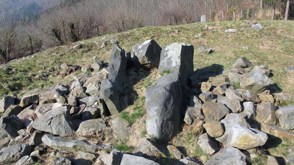 Venta de Zarate trikuharria