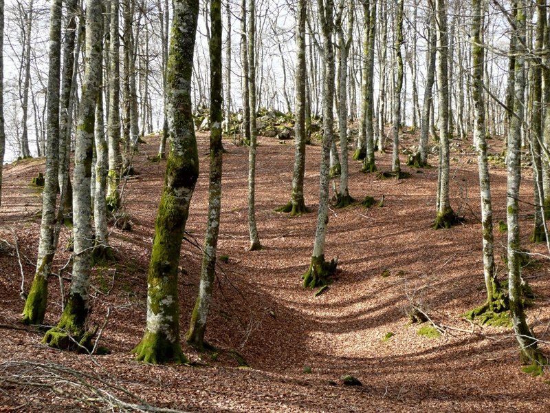 Azken Metroak Ekialdeko Tontorrera