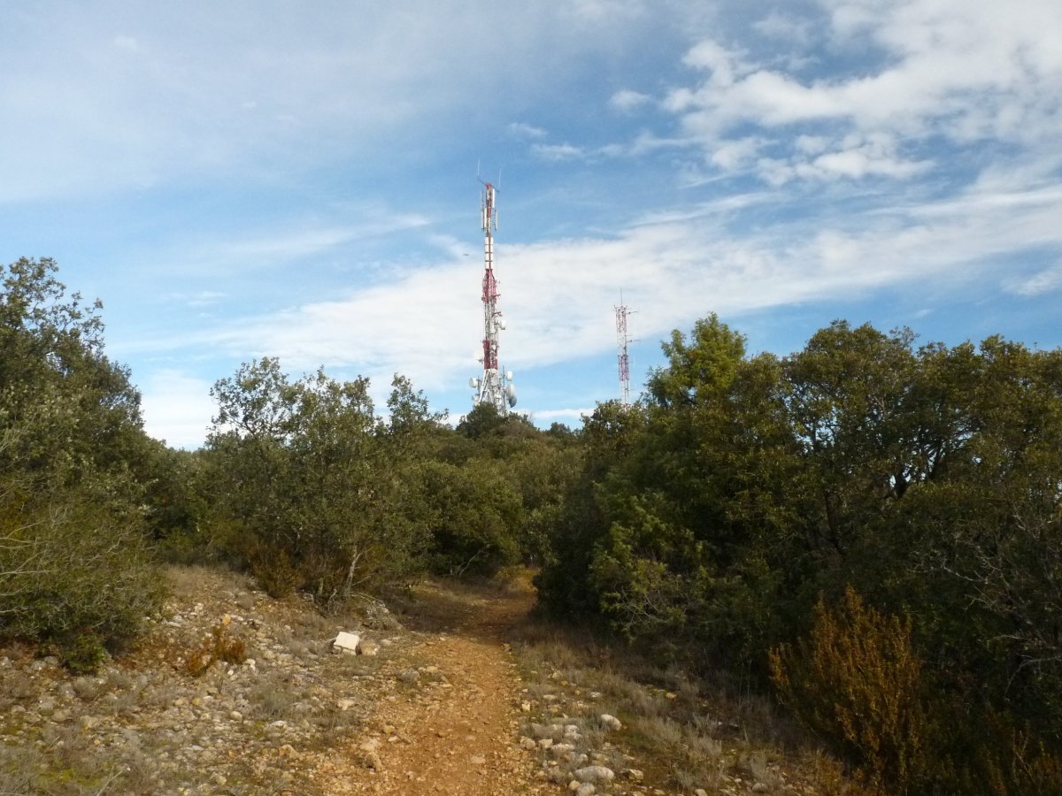 Belastegiko gailurra