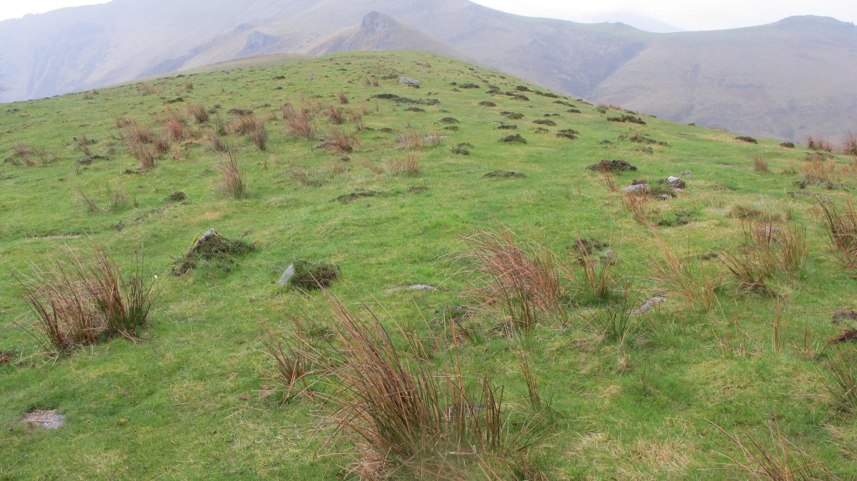 Zurzai Hego harrespila