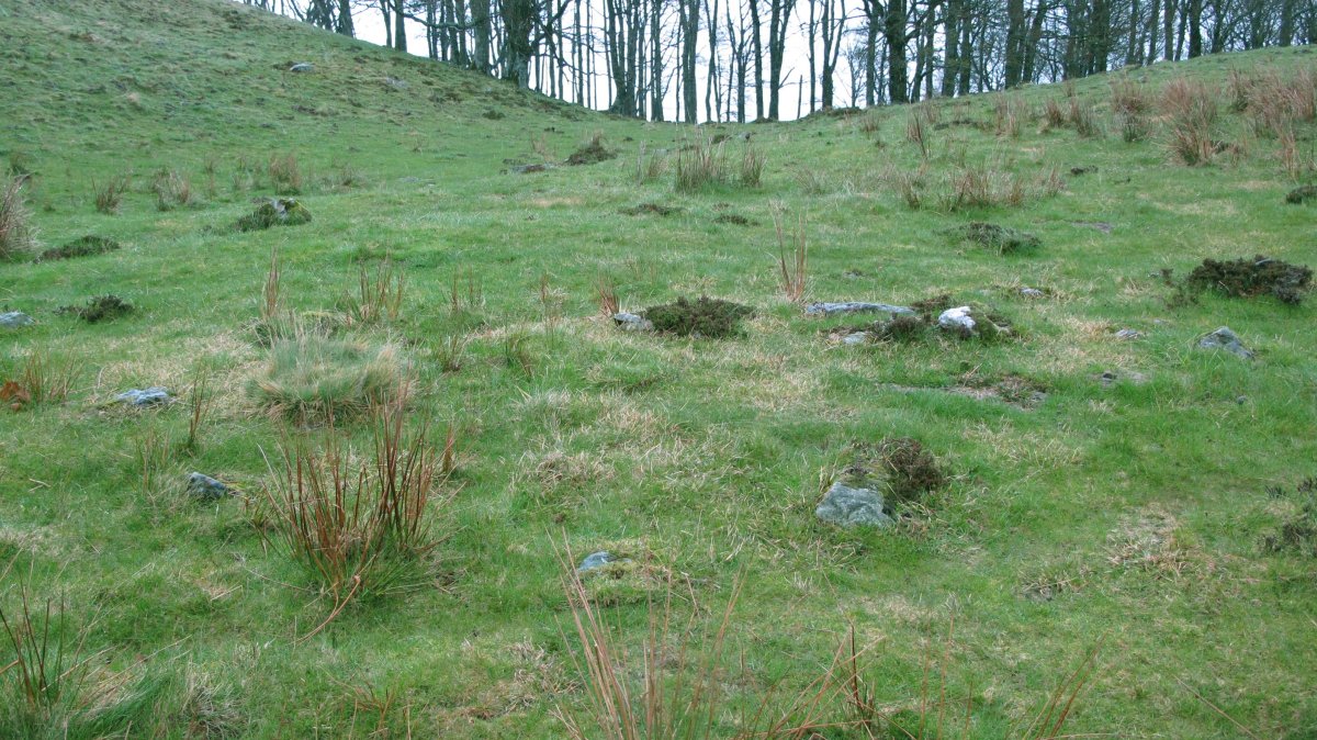 Zurzai Hego harrespila