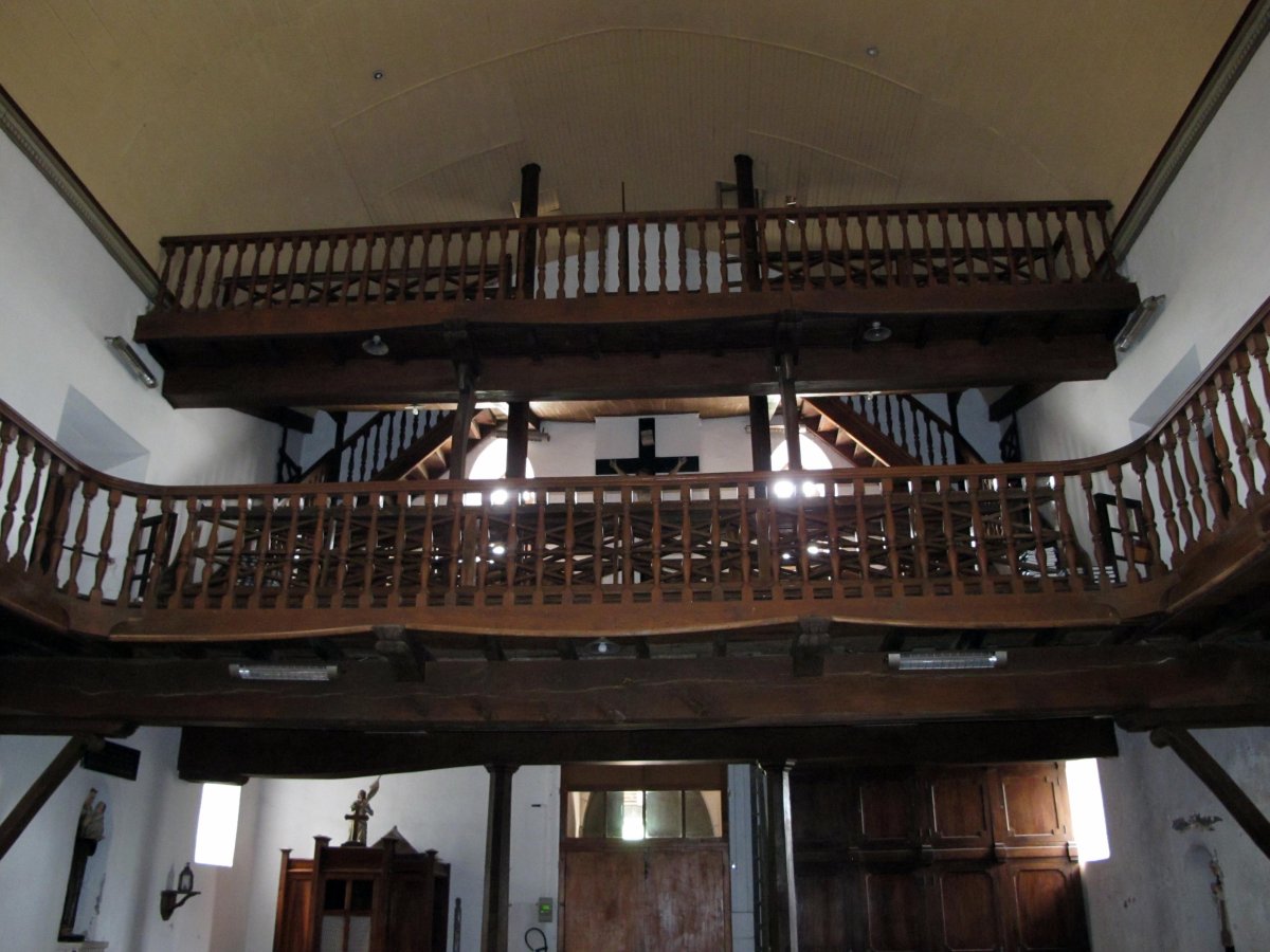 Notre Dame eliza, korua