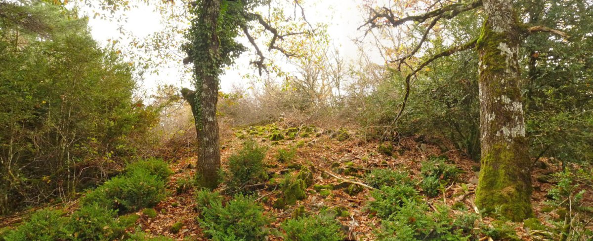 Latsunagako gailur itxia