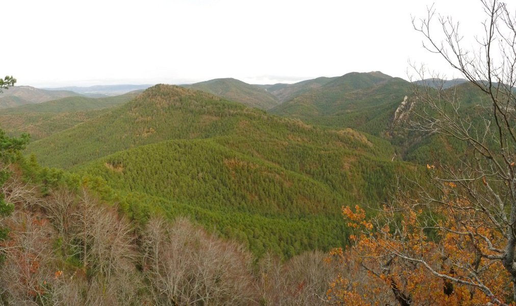 Panorama mugatua Argañako gailurretik