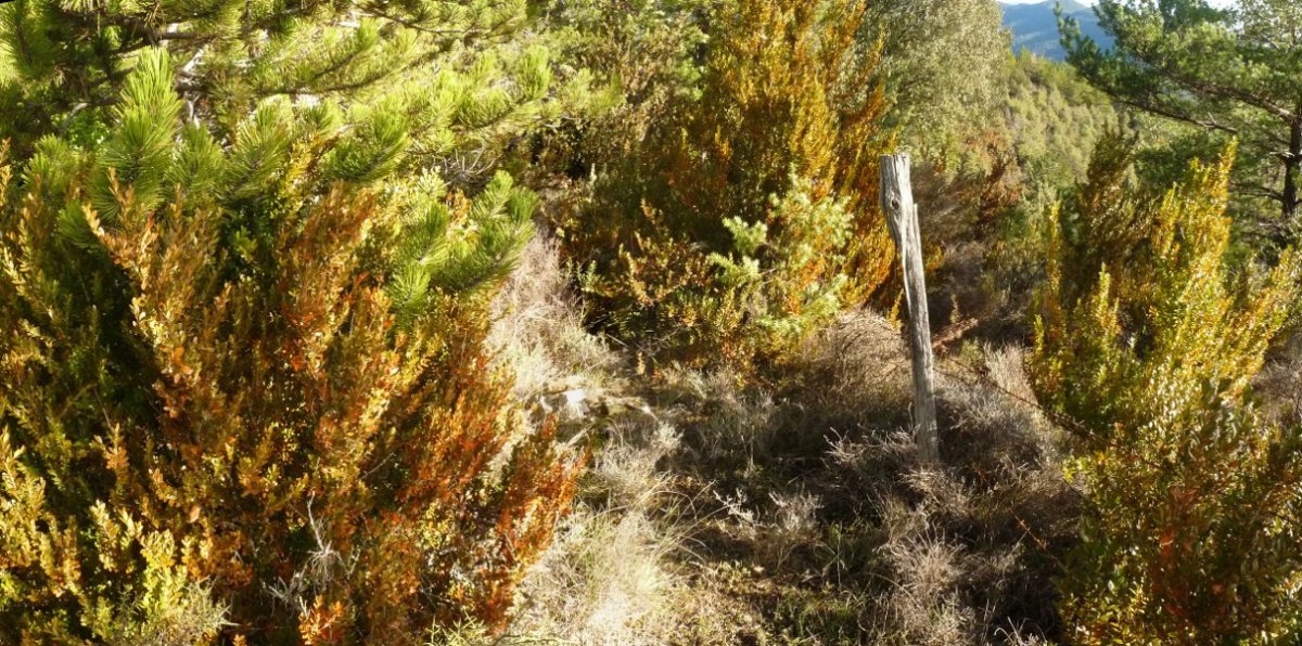 Axarimendiko gailurra