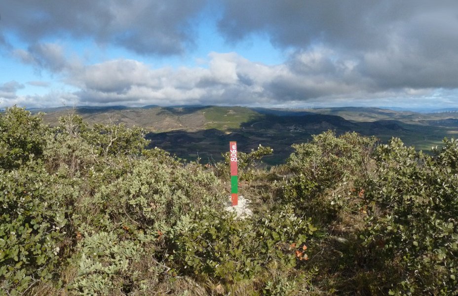 Beraguko gailurreko buzoia