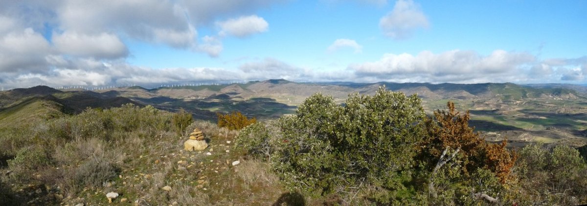 Zaldinagako gailurra