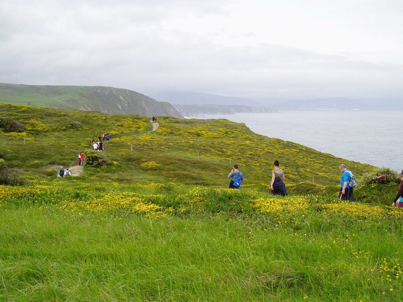 Barrikako itsasertzetik zehar