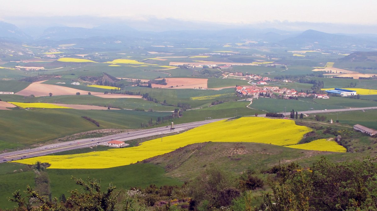 Astrain, Erreniega menditik ikusita