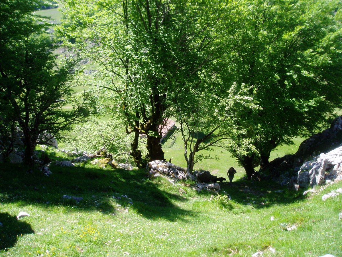 Atxulotik Antxon, Argi, eta euren txabola